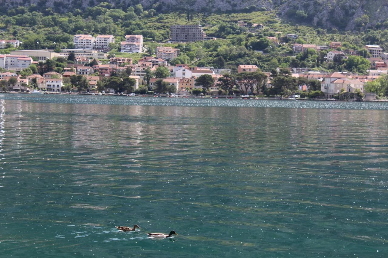 Mare E Montagna Appartement Kotor Buitenkant foto